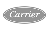 Carrier