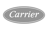 Carrier