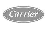 Carrier