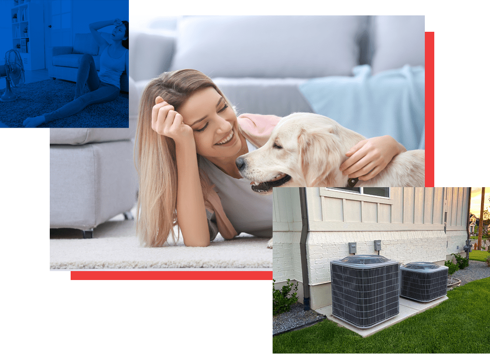 The Dog Days of Summer are for the Dogs