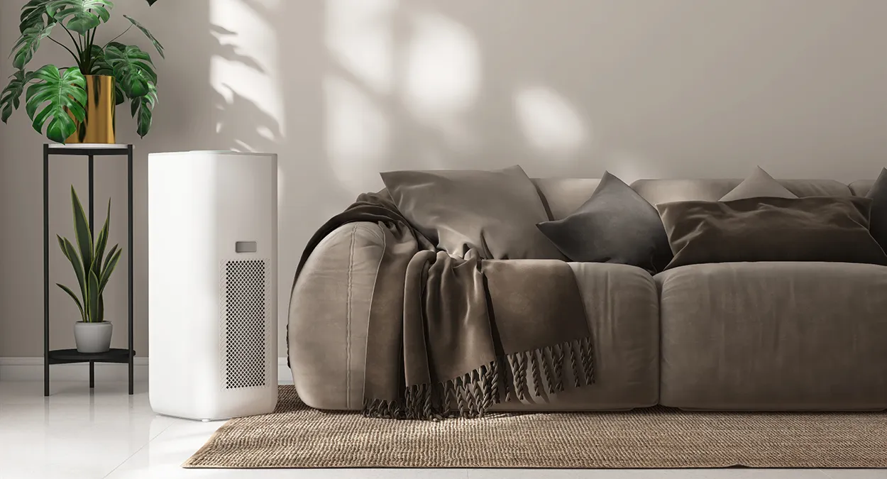 Additional Effective Methods to Improve Indoor Air Quality